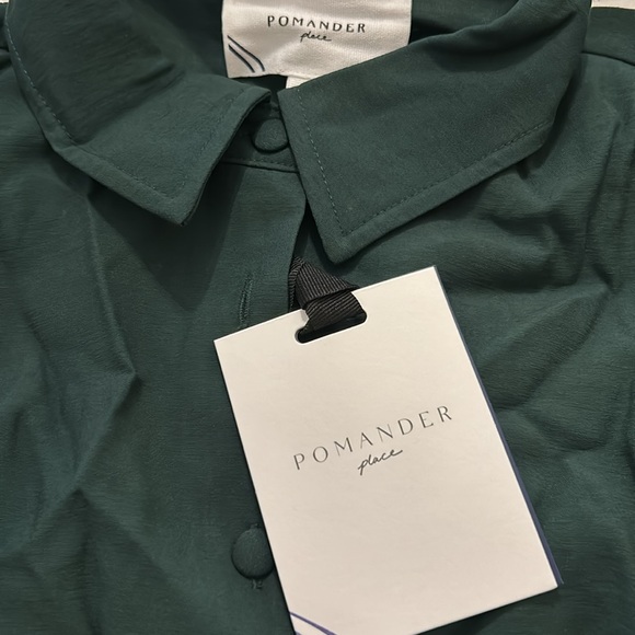 Hunter Green Ashlen Blouse
POMANDER PLACE - Picture 7 of 11